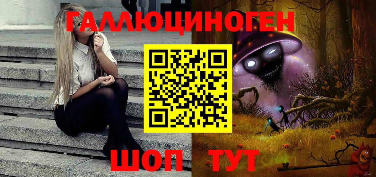 Королёв  Галлюциногенные грибы Psilocybine cubensis  Вход с VPN 